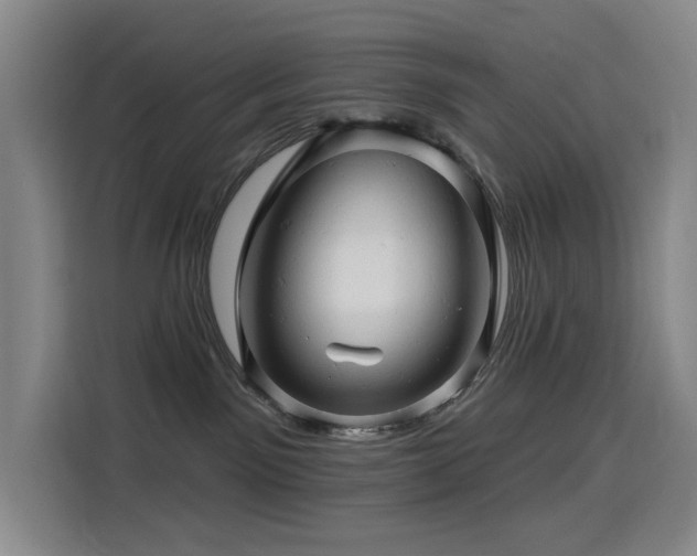 X0000114530141200910191329