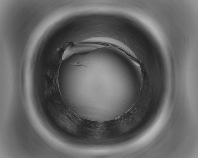 X0000114530143200910191329
