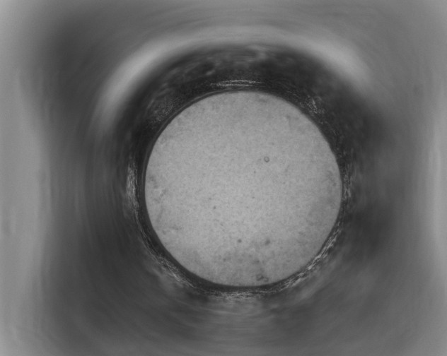 X0000114530146200910191329