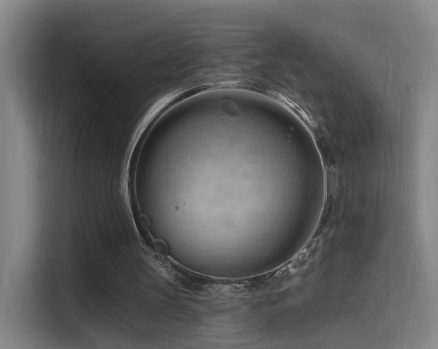X0000114530147200910191329