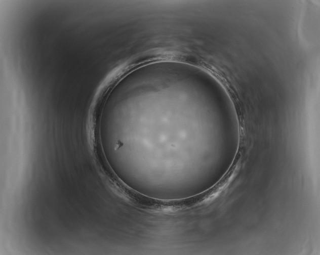 X0000114530149200910191329