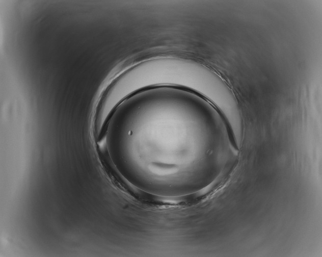 X0000114530150200910191329