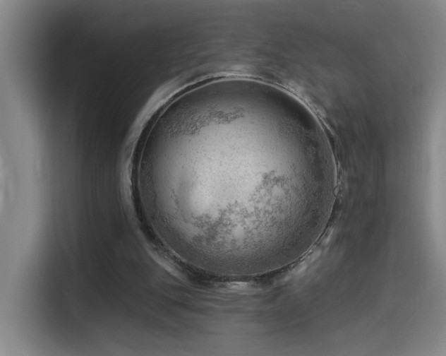 X0000114530151200910191329