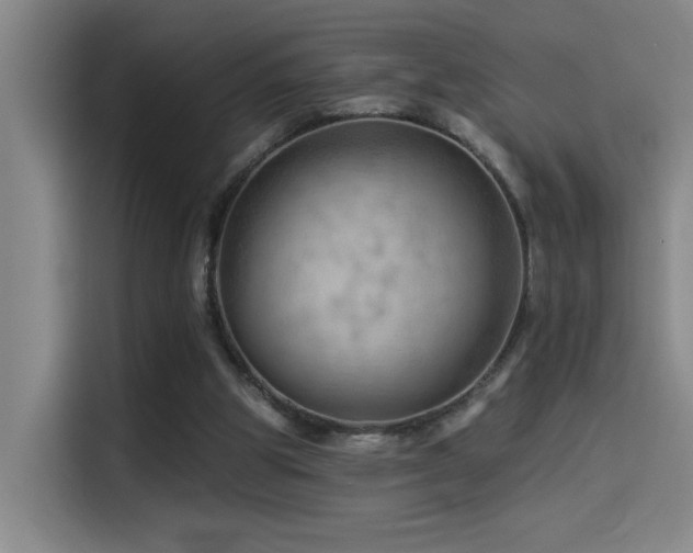 X0000114530153200910191329