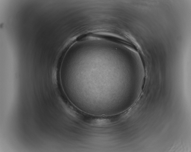 X0000114530154200910191329