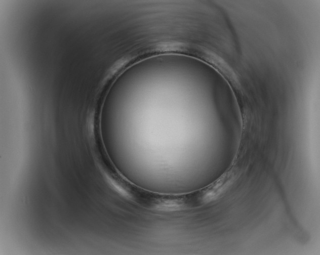 X0000114530155200910191329