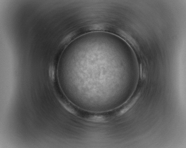 X0000114530157200910191329