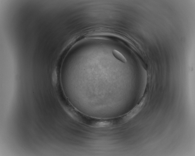X0000114530158200910191329