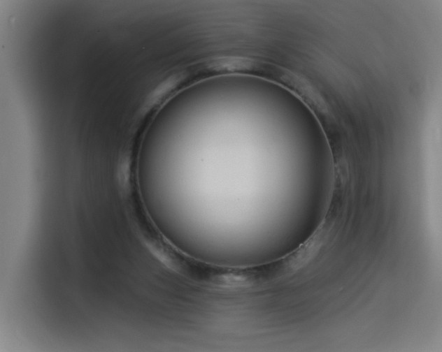 X0000114530159200910191329