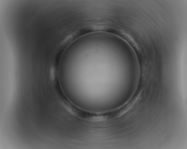 X0000114530161200910191329