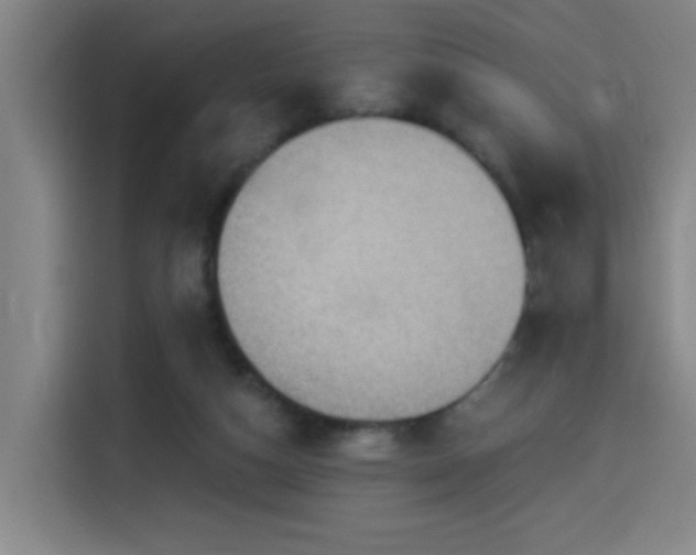 X0000114530162200910191329