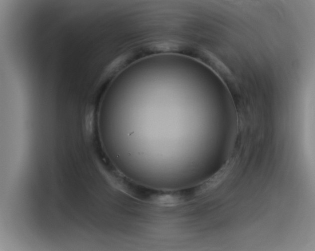 X0000114530163200910191329