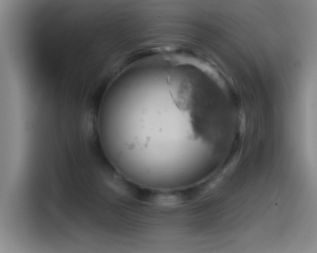 X0000114530169200910191329