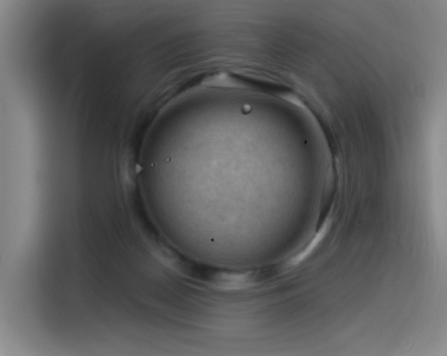 X0000114530170200910191329