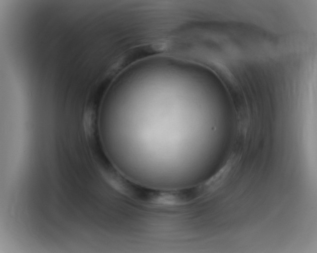 X0000114530171200910191329
