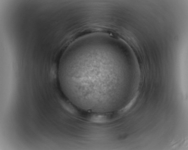 X0000114530174200910191329