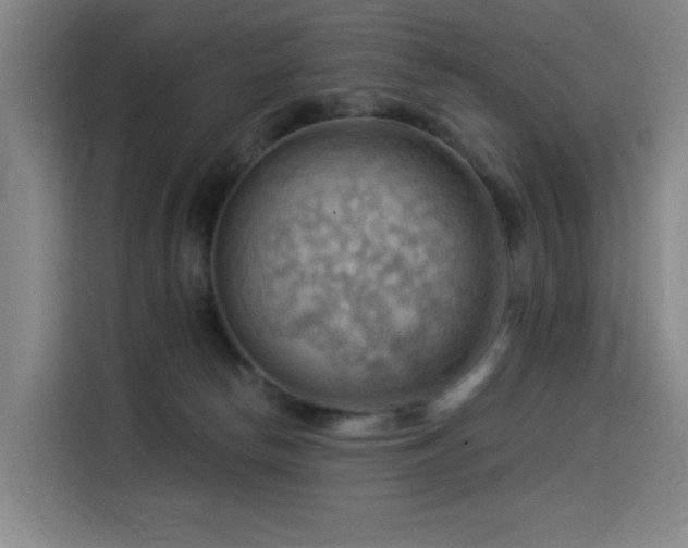 X0000114530178200910191329