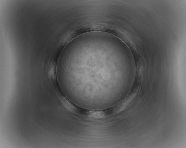 X0000114530185200910191329