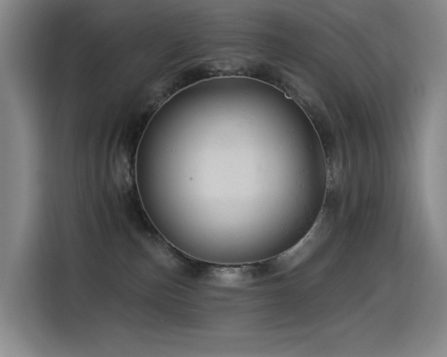 X0000114530187200910191329