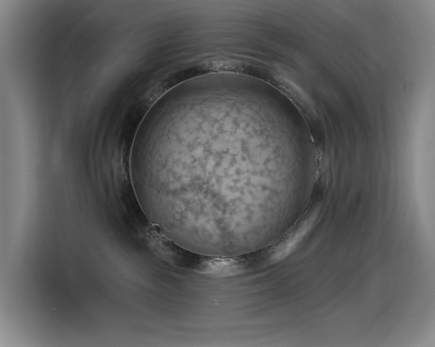 X0000114530189200910191329