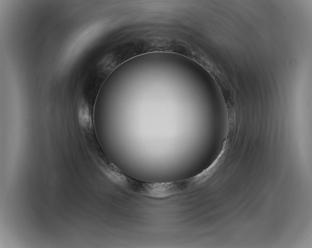 X0000114530191200910191329