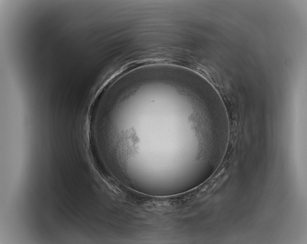X0000114530194200910191328