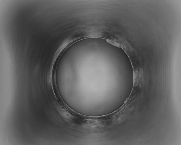 X0000114530195200910191328
