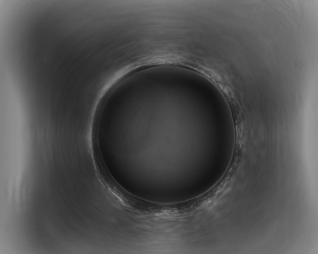 X0000114530196200910191328