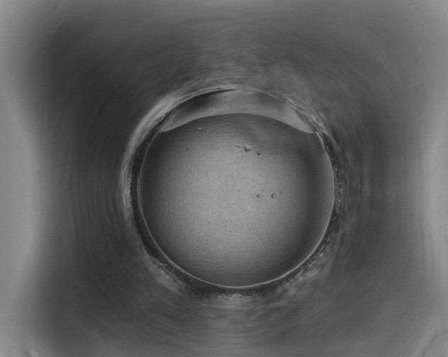 X0000114530197200910191328