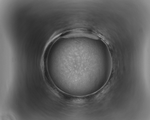 X0000114530198200910191328