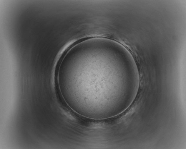 X0000114530200200910191328