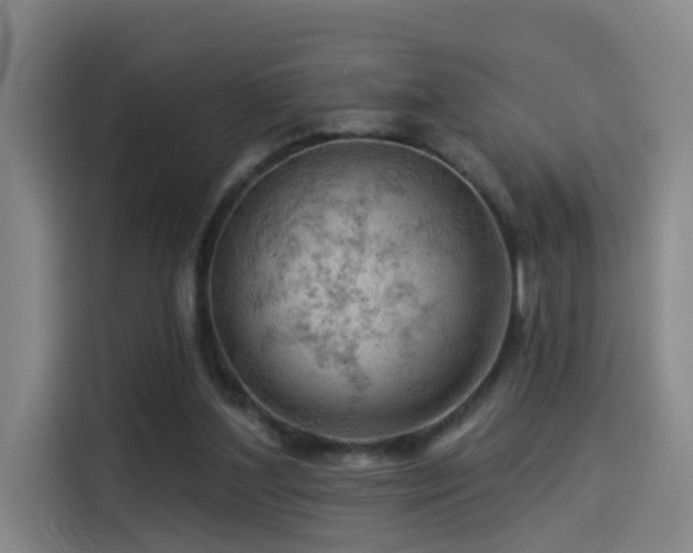 X0000114530204200910191328