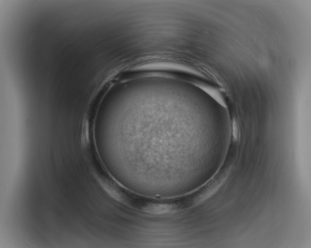 X0000114530205200910191328