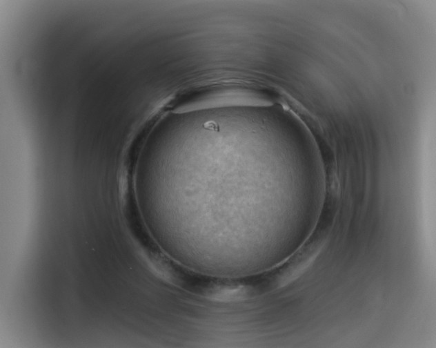 X0000114530206200910191328
