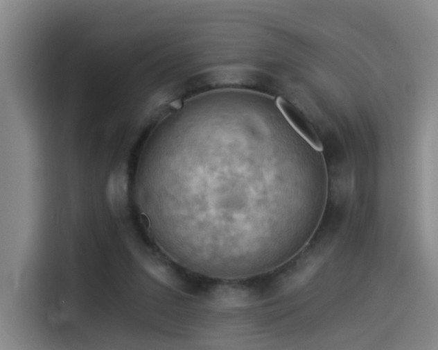 X0000114530207200910191328