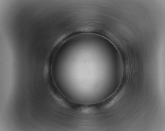 X0000114530208200910191328