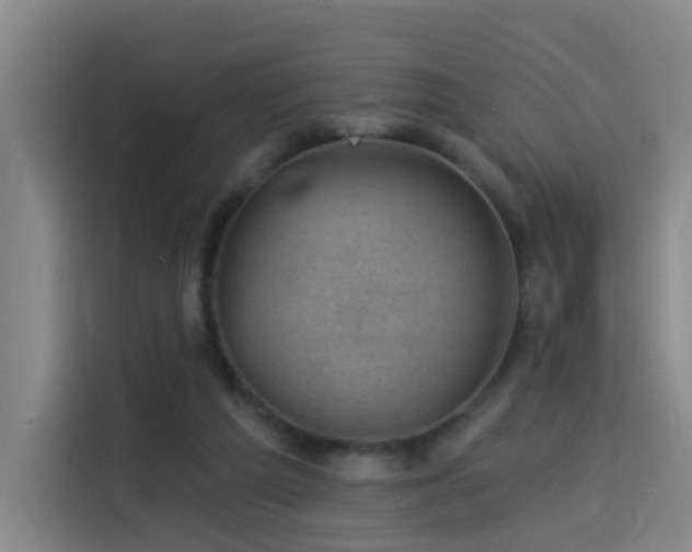 X0000114530209200910191328