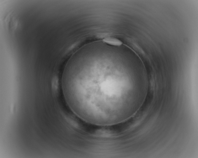 X0000114530211200910191328