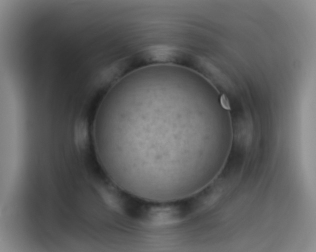 X0000114530213200910191328