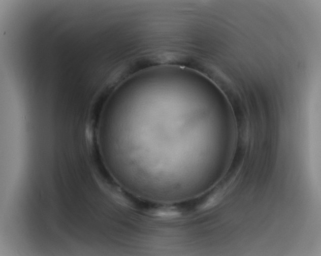 X0000114530214200910191328