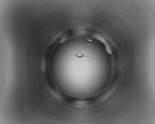 X0000114530216200910191328