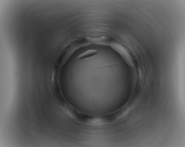 X0000114530219200910191328
