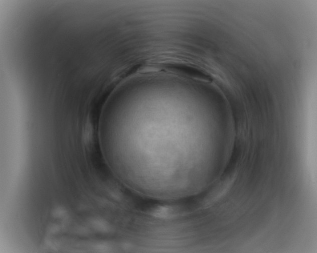 X0000114530220200910191328