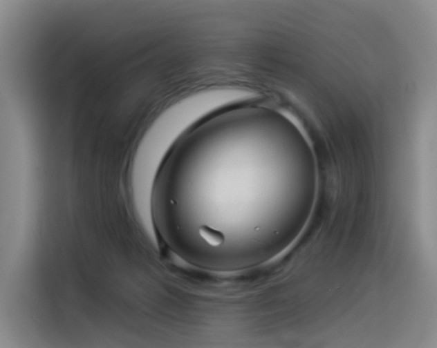 X0000114530221200910191328