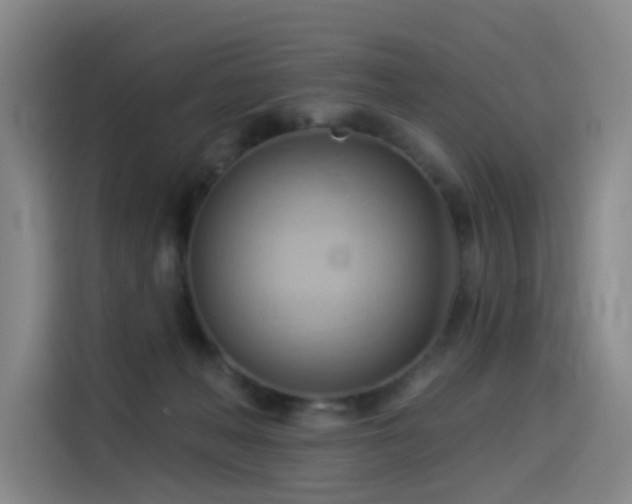 X0000114530222200910191328