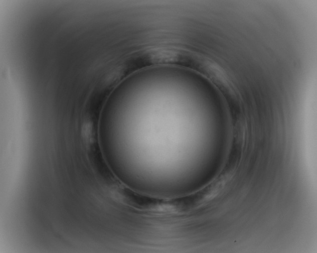 X0000114530224200910191328