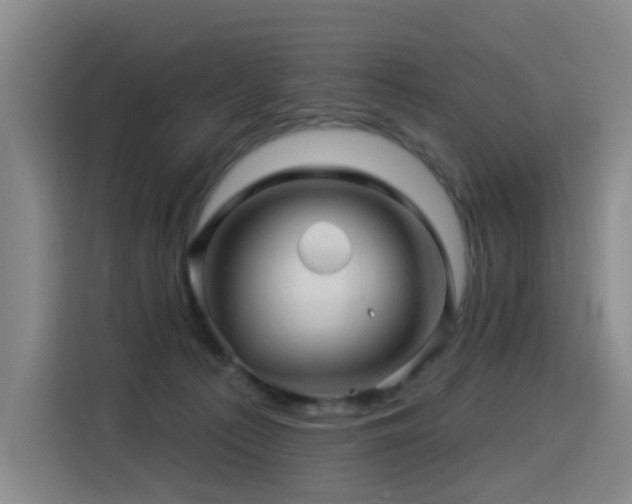 X0000114530225200910191328