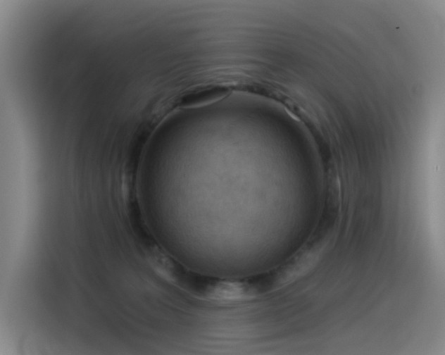 X0000114530227200910191328