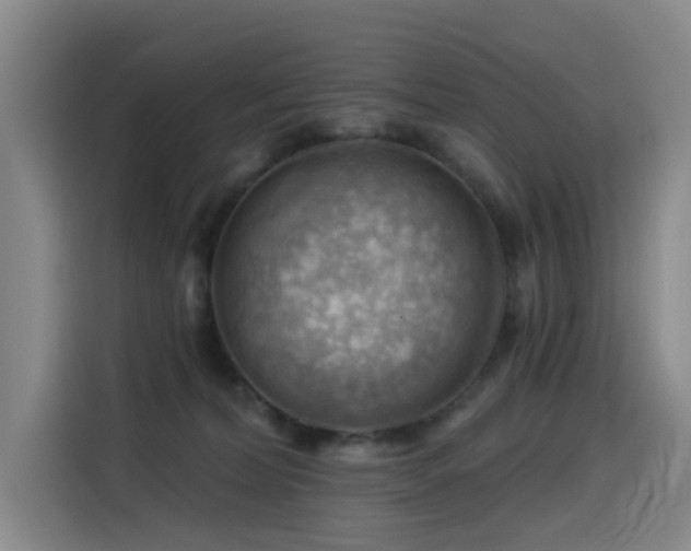 X0000114530228200910191328