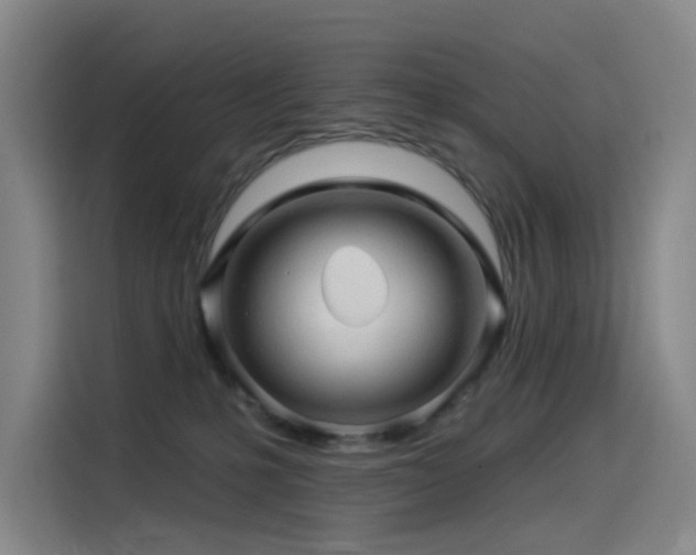 X0000114530231200910191328